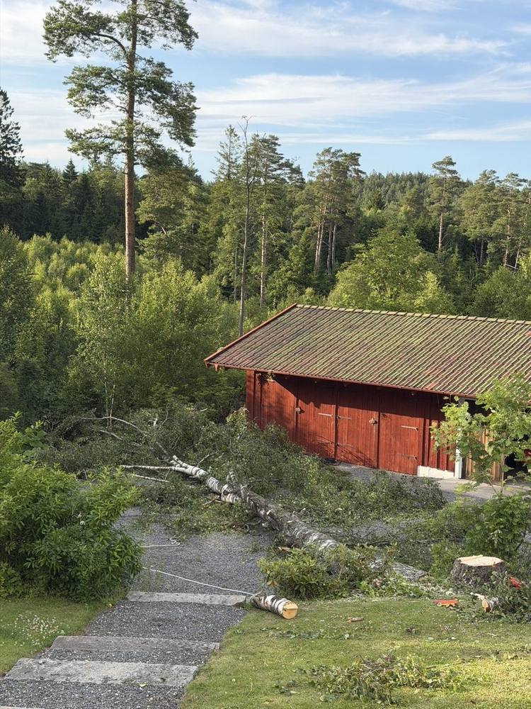 Fällt träd på grusgång vid röd garagelänga